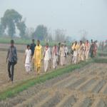 Vraj-Yatra-2014- (291)